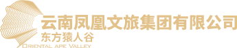 云南凤凰文旅集团有限公司