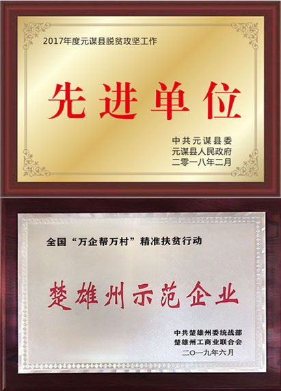 集团所获荣誉