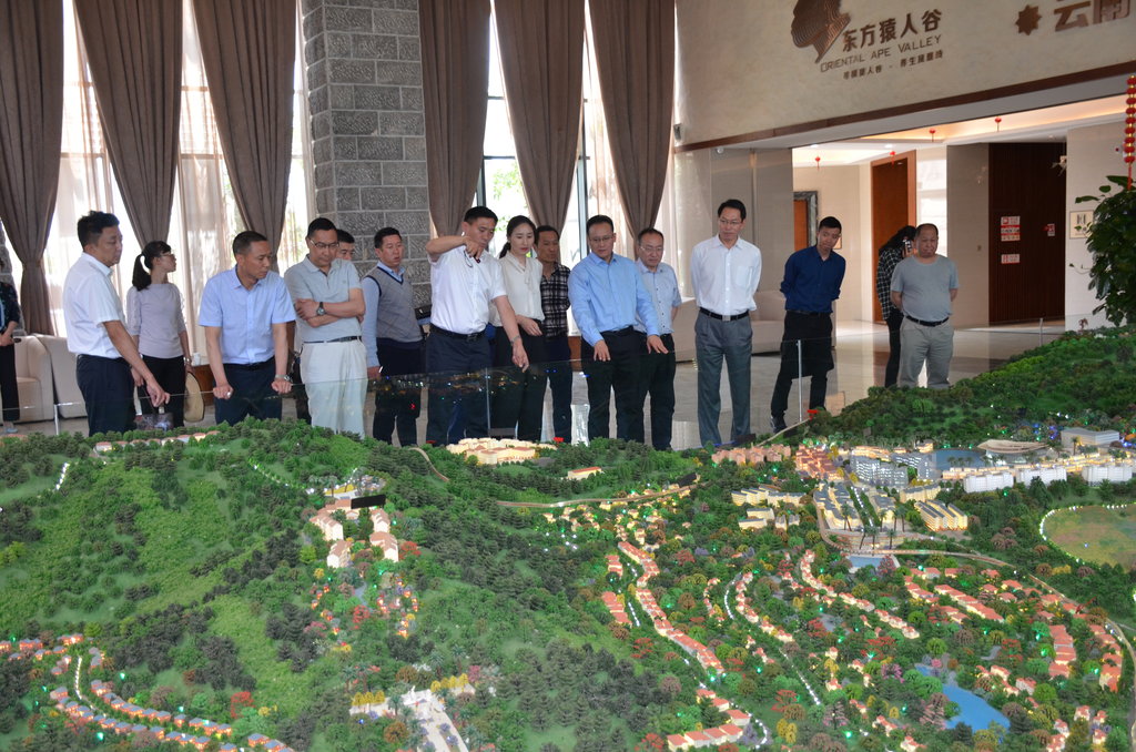 楚雄州人民政府调研组赴元谋东方猿人谷调研&ldquo;